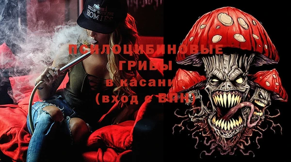сатива Алексеевка