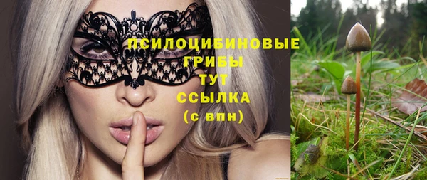 спиды Абинск
