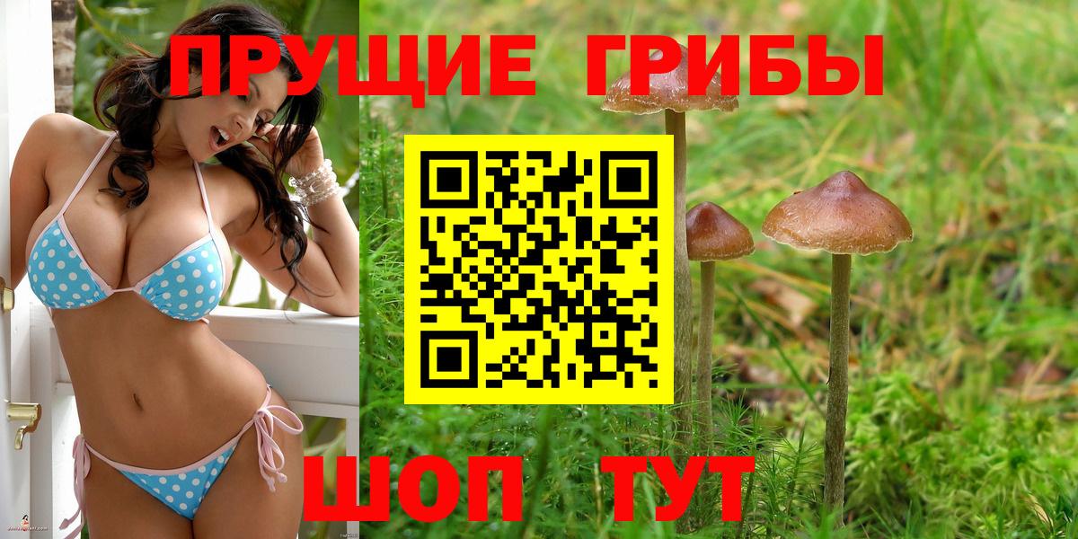 Галлюциногенные грибы Psilocybine cubensis  Галлюциногенные грибы Cubensis  Черкесск  Вход с VPN 
