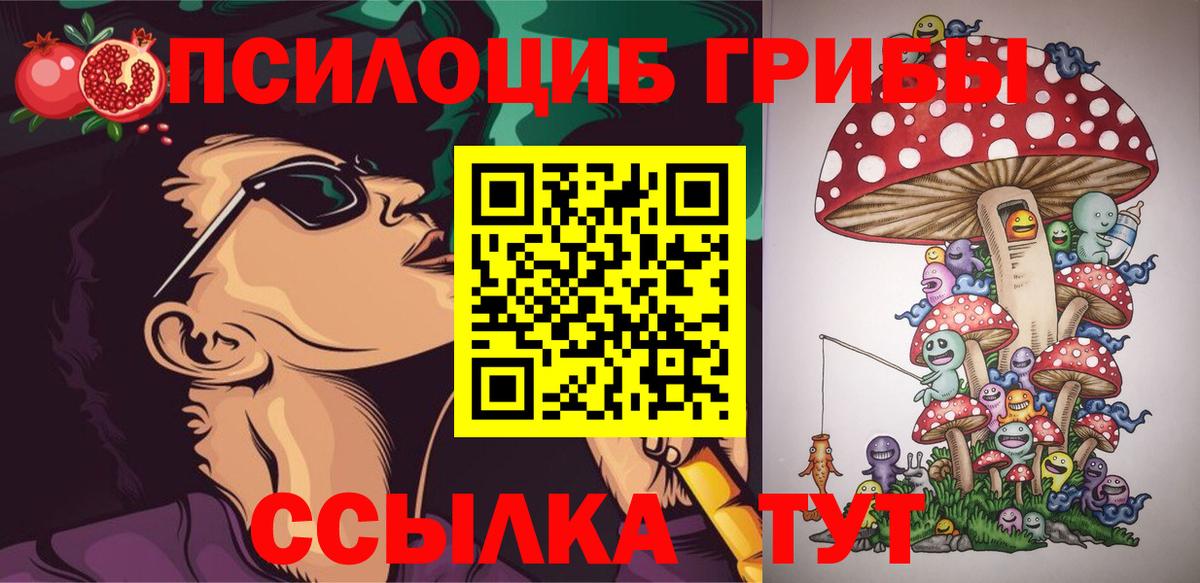 Галлюциногенные грибы Magic Shrooms Черкесск